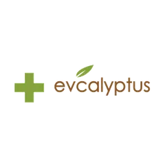 evcalyptus evcalyptus